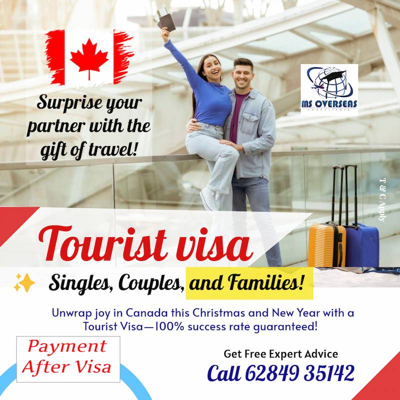 The Visa House in Jalandhar contact number