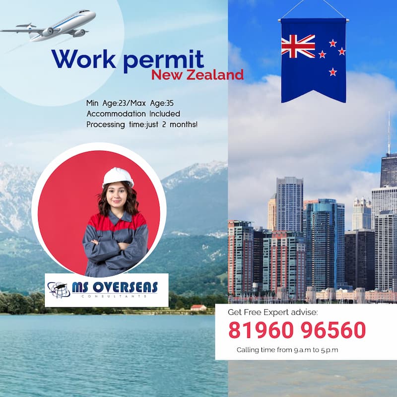 New Zealand work
